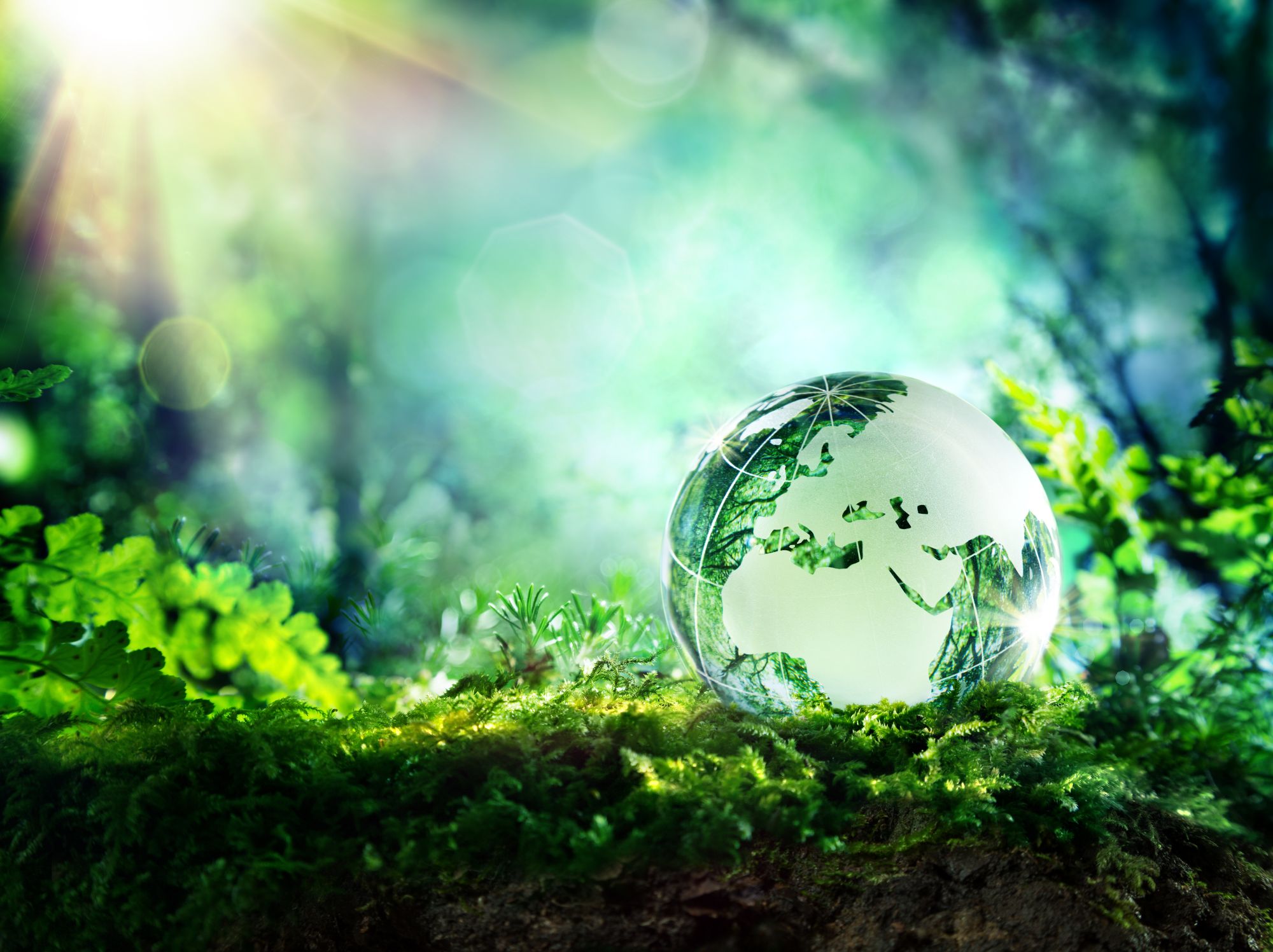 ECO Shutterstock 274730429